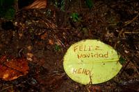 Frohe Weihnachten in Costa Rica &ndash; &copy; Annett Müller (Eberhardt TRAVEL)